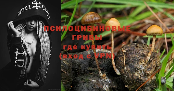 mdpv Алексин