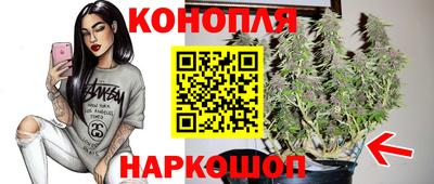 Альфа ПВП Тула