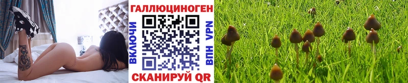 Галлюциногенные грибы ЛСД  где найти наркотики  Осинники 