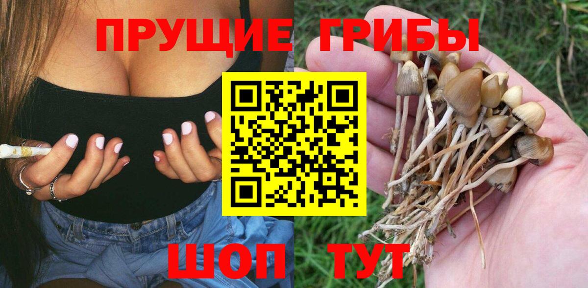 Псилоцибиновые грибы Psilocybine cubensis  Псилоцибиновые грибы ЛСД  Осинники  Вход с VPN 